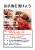 農家直送の本格梅で美味しく「6月開催「あま梅を漬けよう」梅干し作り教室」