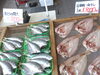 「あじの開き＆甘鯛一夜干し・母の日大特価の養殖真かきのご案内」