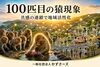 かずさーズが挑む「100匹目の猿現象」｜小さな地域活動が未来を変える「なぜ地域活動は広がるのか？｜かずさーズが信じる100匹目の猿現象」