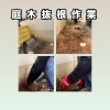 和歌山市で庭木の抜根作業｜根っこからしっかり撤去しました