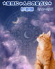 今週の運勢はいかに？猫又占いでチェック「🌟 杉並区版☆12星座占い 🌟まいぷれ☆星見にゃんこ🌟5/11〜5/17」
