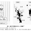 脳卒中リハビリテーションの科学性