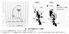 「脳卒中リハビリテーションの科学性」