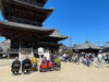 「5月5日「こどもの日」」