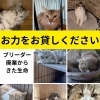 ご支援の程、よろしくお願いいたします
