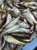 「日はハタハタが約３００キロ入ってきたので1日中頭切ります🐟️🐟️」