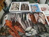 令和8年5月11日 店内「📣本日のお魚情報🐟」