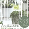 初夏のワールドプランツ感謝祭開催！観葉植物大売出しのお知らせ🪴