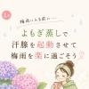 よもぎ蒸しで汗腺を起動しませんか【福山市加茂】