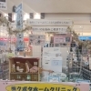 ～こうのす花マルシェフェア～