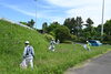「『ボランティア美化運動（浦安市）』」