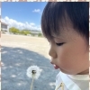 🌴aloalo🌴けおけおぐみさん🌺AMの部 ⁡