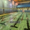 選手コース特集🏊part②-②✨