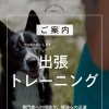 ＼出張トレーニングのご案内🐶／