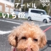 ＼初回カウンセリング🔰クレートトレーニング／  