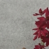 初夏のざらつき肌に　産毛＆角質ケアで“つるん”とした手触りへ