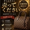 ルイ・ヴィトン ダミエライン高価買取強化中｜今が売り時です