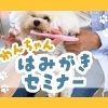 【参加レポ】歯みがき教室をお手伝いしてきました！