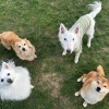 5/11のモンモンイ🐶
