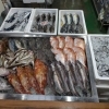 📣本日のお魚情報🐟