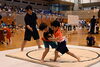 「『わんぱく相撲浦安場所（浦安市）』」