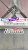「【株式会社シンプルプラン】築19年の屋根 施工事例」