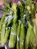 夏満喫！とうもろこしを味わおう「初夏の味わい・皮ごと楽しむヤングコーン入荷しました」