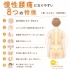 慢性腰痛になる8つの特徴「整体やマッサージで良くならない腰痛②　体の8つの特徴＜腸・ホルモン・自律神経＞」