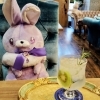 本日スタート！夏にぴったりのエルダーフラワーソーダ