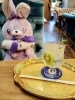 可愛い店内で素敵なひとときを「本日スタート！夏にぴったりのエルダーフラワーソーダ」
