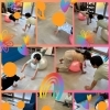 🌴aloalo🌴うらうら組さん🌺⁡