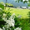 今日はお休み※明日5/13営業します！