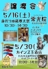 「5月16日 常光院で「身代り地蔵尊大祭＆ねこの譲渡会」開催のお知らせ」