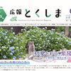 初夏を彩る紫陽花～とくしま植物園で梅雨を楽しもう～