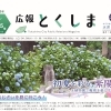初夏を彩る紫陽花～とくしま植物園で梅雨を楽しもう～
