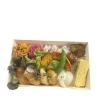 鶏むね照りマヨ弁当のご紹介