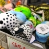 遊具あり、体験あり、グッズあり✨ 週末はかすみがうら市水族館へ🐟