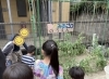 「かるみあごO🎈　親子イベントを開催しました✨」