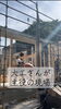 熟練の職人が高品質な住まいを建築「庄原市東城町・K様邸 平屋の上棟｜大工たちの息の合った手仕事」