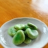 ほくほく塩蒸しそら豆、できました🌱