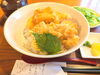 サクサク衣の本格天丼をご堪能「新メニュー「だし巻き玉子天丼定食」と木曜クレームブリュレサービスのご案内」