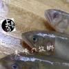 鮎入荷致しました！