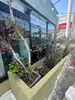 琉球そばの店へぜひ「本日もよろしくお願いします☀️」