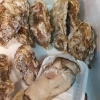広田湾　極み牡蠣