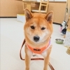 今日のお友達