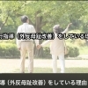【なぜ歩行指導（外反母趾改善）をしているのか】