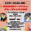【5月グループレッスンのお知らせ】はじめての方限定！無料で4種類のレッスンをおためしできます