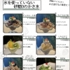 氷を使っていない「砂糖0のかき氷」スタートしました【江南市/カフェ/スイーツ/タケダカフェ】