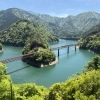 大自然の中に冒険の旅へ/静岡県のレンタル水槽はアクアデザインブルース/生き物のプロ/一度は行ってみたいスポット/