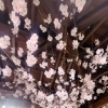 若返り リンパトリートメント店 妃～プリンセス～